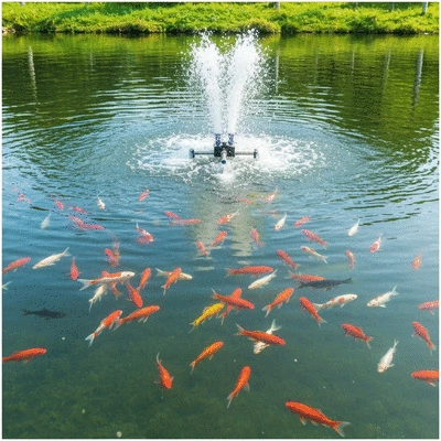 Modern aeration system in a fish farm pond with clear water and healthy fish