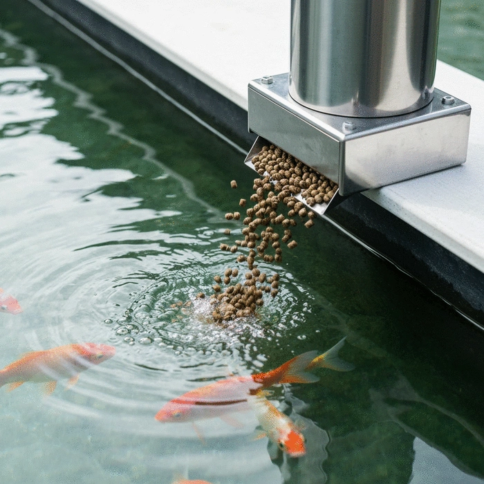 Automated fish feeder dispensing pellets into a clear aquaculture pond, with fish visible